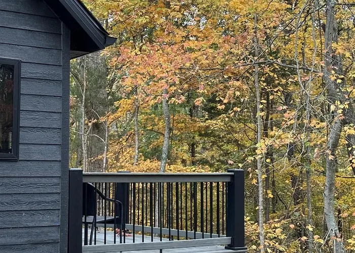 30-Acre Woods, Trail & Salt Hot Tub Holiday home Carbondale